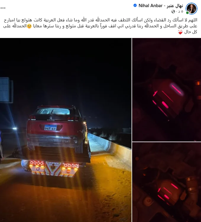 الفنانة نهال عنبر