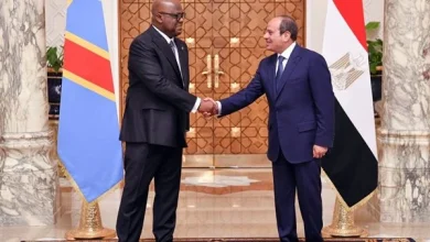 الرئيس السيسي