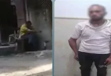 الدقهلية