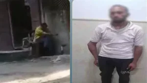 الدقهلية