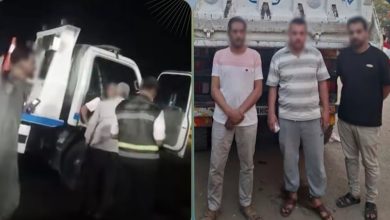 حملة مرورية بالجيزة