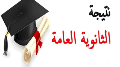 نتيجة الثانوية العامة 2026