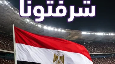 الرئيس التنفيذي للشركة المصرية للاتصالات وي