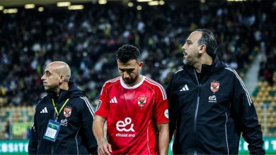 رحيل تريزيجيه