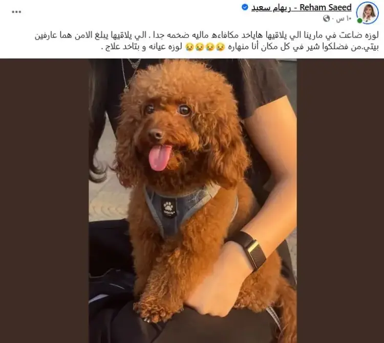 ريهام سعيد 