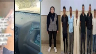 واقعة الدقهلية