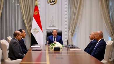 السيسي