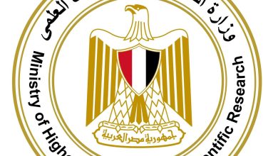 التعليم العالي