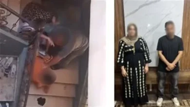 المشاجرة