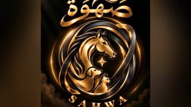 مؤتمر صهوة